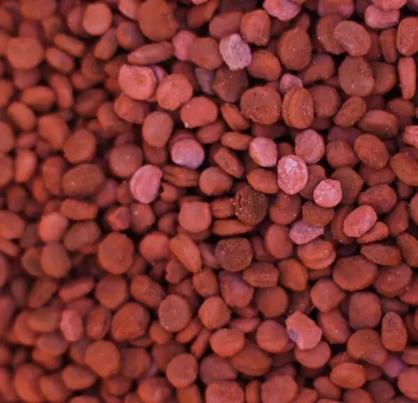 Ginseng Seed