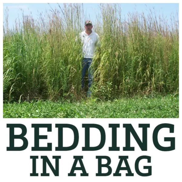 RWWP Bedding-in-a-Bag - 6 lb bag - Image 2