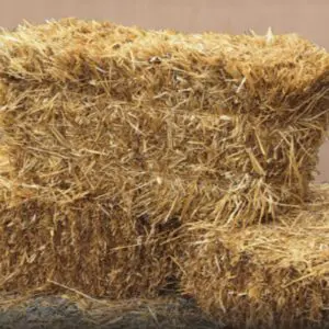Straw Bale