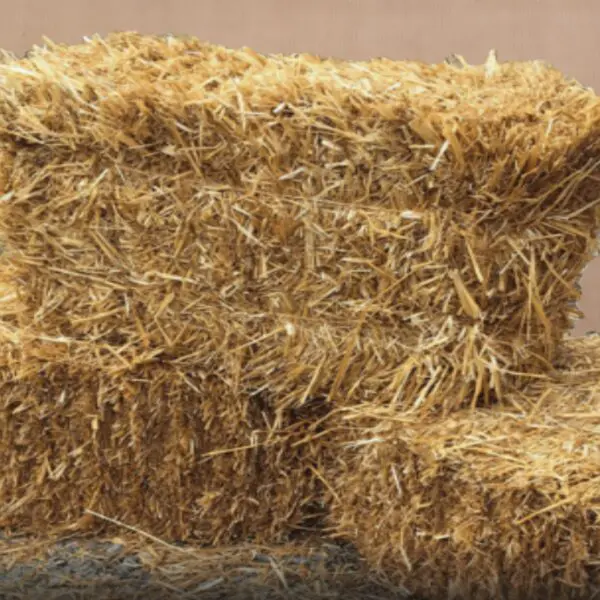 Straw Bale