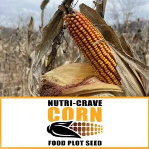 RWWP Nutri-Crave Corn