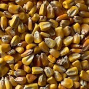 Corn - 50LB Bag