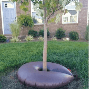 DEWITT'S TREE WATERING BAG