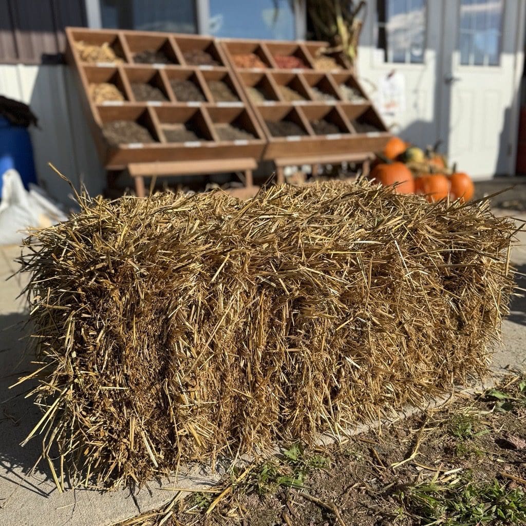 Straw bale stacked for sustainable building and gardening use