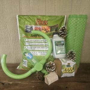 New Tree Bundle