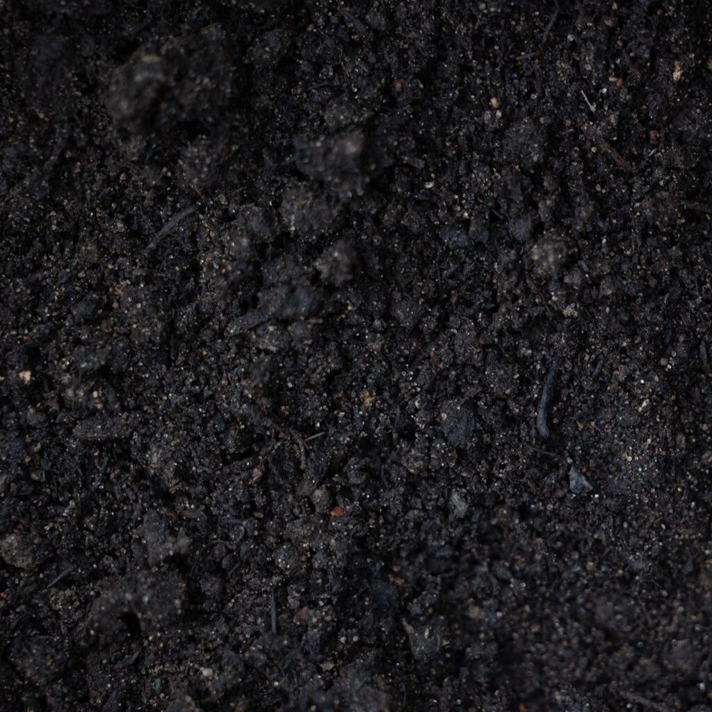Leaf compost made from 100% Wisconsin tree leaves improving garden soil structure and moisture retention