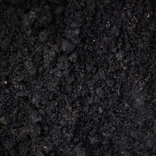 Leaf compost made from 100% Wisconsin tree leaves improving garden soil structure and moisture retention