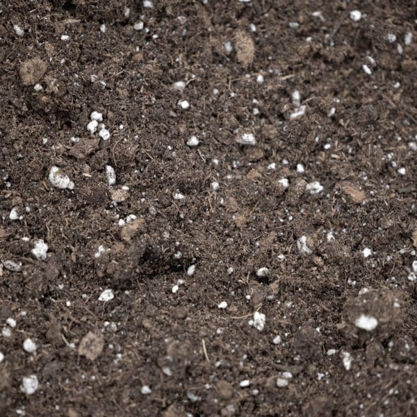 Professional Potting Soil in use for container gardening, showing healthy potted plants and rich, aerated soil mix.